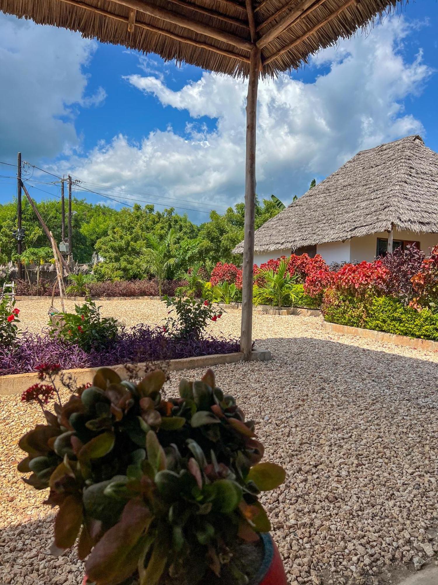 Kokopelli Bungalows Nungwi Exterior foto